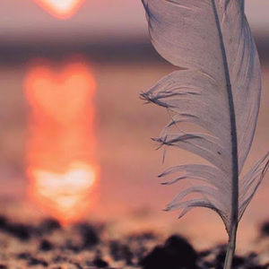 Meet your Posher, Mae